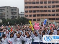 乐至县实验中学2025年招生代码