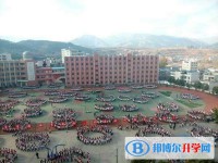 盐源县中学校2025年招生代码