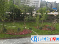 金堂县竹篙镇竹篙中学2025年报名条件、招生要求、招生对象