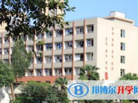 成都市三十八中学网站网址主页
