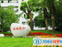 四川省双流县中心中学2024年排名