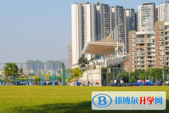 四川省双流县中心中学2022年网站网址