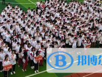 四川省南充第六中学2025年招生代码