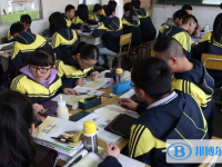 洪雅中学2025年招生计划