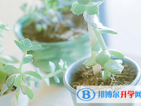 成都中考体育考试成绩查询