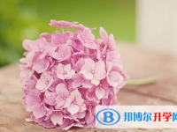 2020年自贡中考填志愿的网站