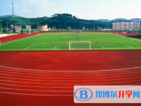 2020年自贡中考难度