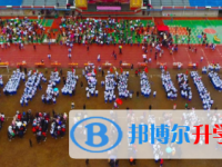 四川省阆中中学校2025年招生计划