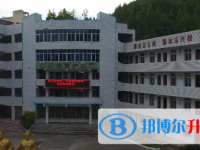 南部县大桥镇中学2025年招生计划