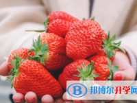 2021年咸阳中考紧张怎么办