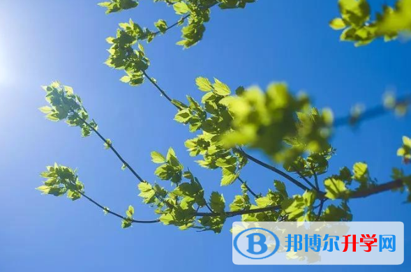 2020年自贡中考成绩好久出来