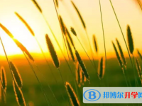 2020年自贡中考紧张怎么办