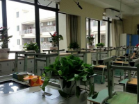 成都七中育才学校东区2025年招生代码