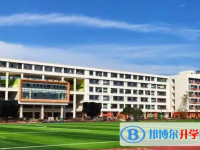 眉山外国语学校2025年学费、收费多少