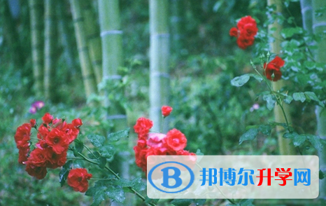 2021年延安中考考试技巧