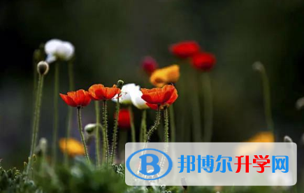 2021年延安中考考生人数