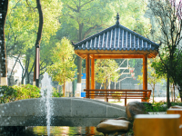 越西中学2025年排名