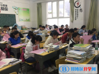 冕宁中学2025年招生代码