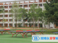 四川省金堂实验中学2025年招生简章