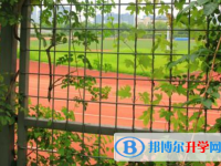2021年咸阳中考372可以读的学校