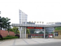 泸县第四中学2024年招生代码