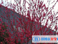 崇州市江源镇中学2025年学费、收费多少