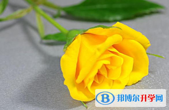 2020年内江中考要求
