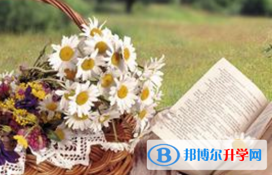 2020年内江中考考点有哪几个