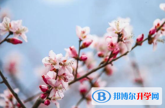 2020年内江中考建档线