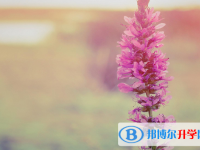 2021年咸阳如果中考没考上读什么好