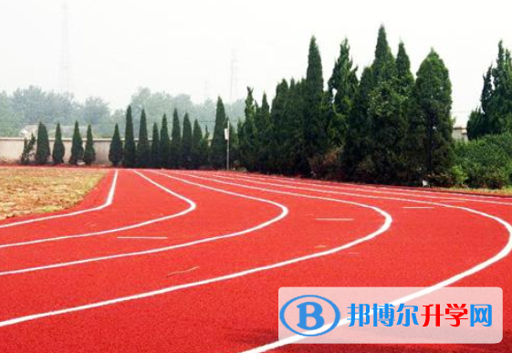 2020年乐山中考考点有哪几个