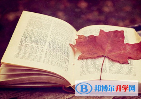 2020年乐山中考后几天出成绩