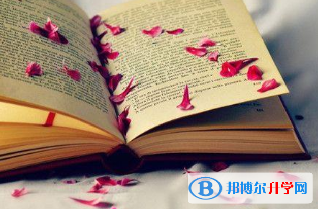  2020年乐山中考查询系统