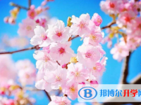 2020年巴中怎样查询中考成绩