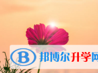 2021年凉山中考在哪里查询