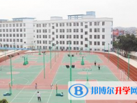 都江堰市蒲阳镇中学网站网址主页