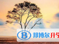 2021年凉山中考招办电话