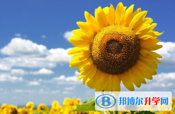 2020年南充中考派的学校有哪些学校