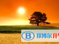 2021年凉山中考招生办