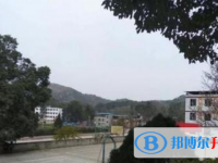 仁寿县文宫中学2025年学费、收费多少