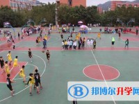 四川省泸县第五中学2025年学费、收费多少