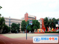 成都石室锦城外国语学校2024年招生代码