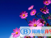 2021年凉山中考的规则