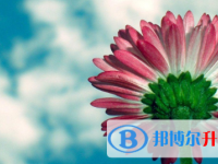 2021年凉山中考改革最新方案