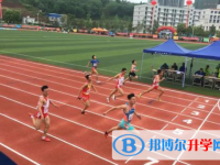 四川大学附属中学网站网址主页