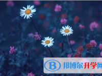 2021年延安中考网上报考信息平台