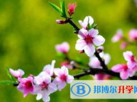 2021年延安中考招生办