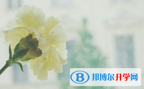 2021年延安中考招生考试查询系统