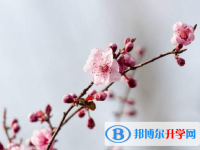 2021年延安中考招生情况