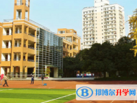 成都市第八中学网站网址主页